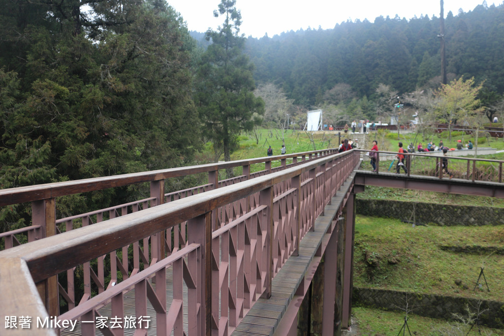 跟著 Mikey 一家去旅行 - 【 嘉義 】阿里山國家風景區 - 沼平車站