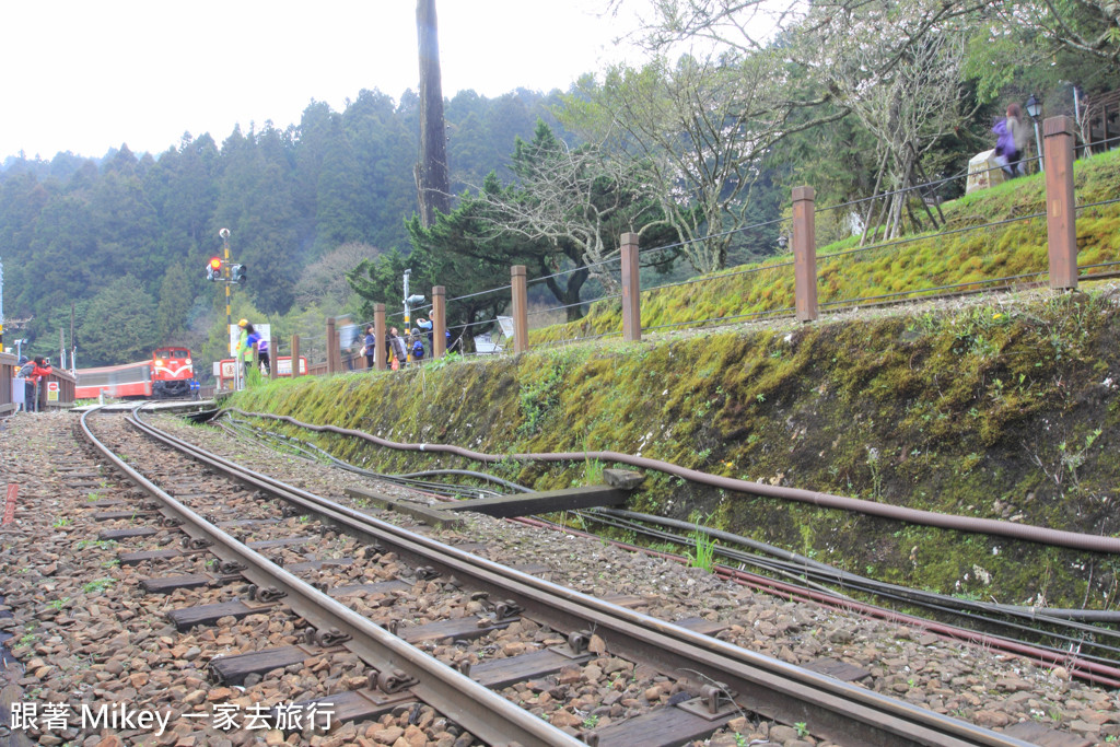 跟著 Mikey 一家去旅行 - 【 嘉義 】阿里山國家風景區 - 沼平車站