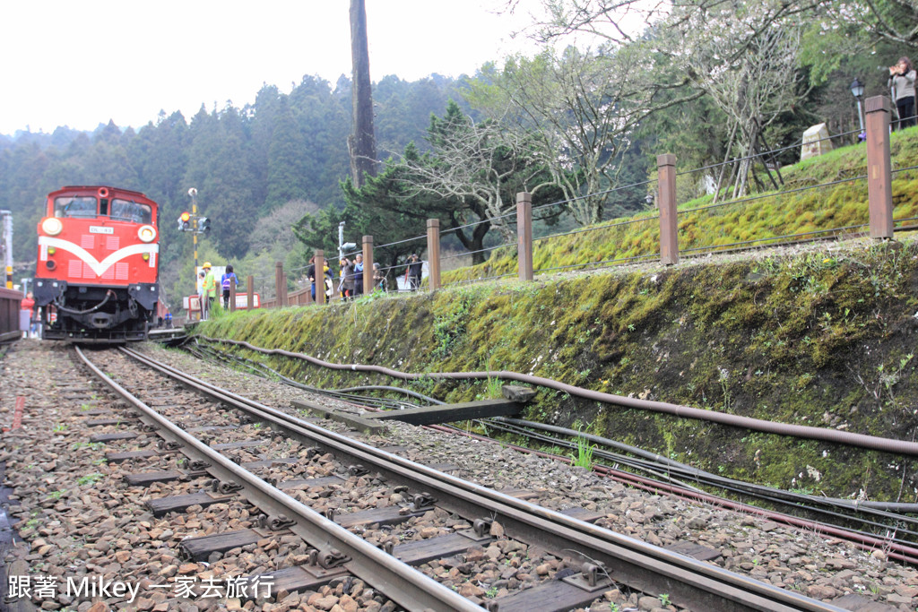 跟著 Mikey 一家去旅行 - 【 嘉義 】阿里山國家風景區 - 沼平車站