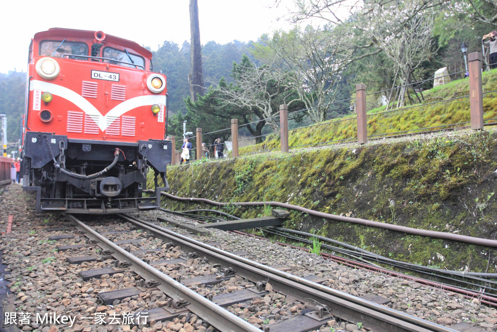 跟著 Mikey 一家去旅行 - 【 嘉義 】阿里山國家風景區 - 沼平車站