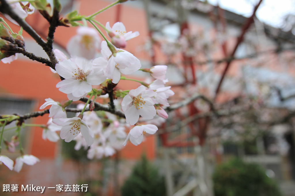 跟著 Mikey 一家去旅行 - 【 嘉義 】阿里山國家風景區 - 沼平車站