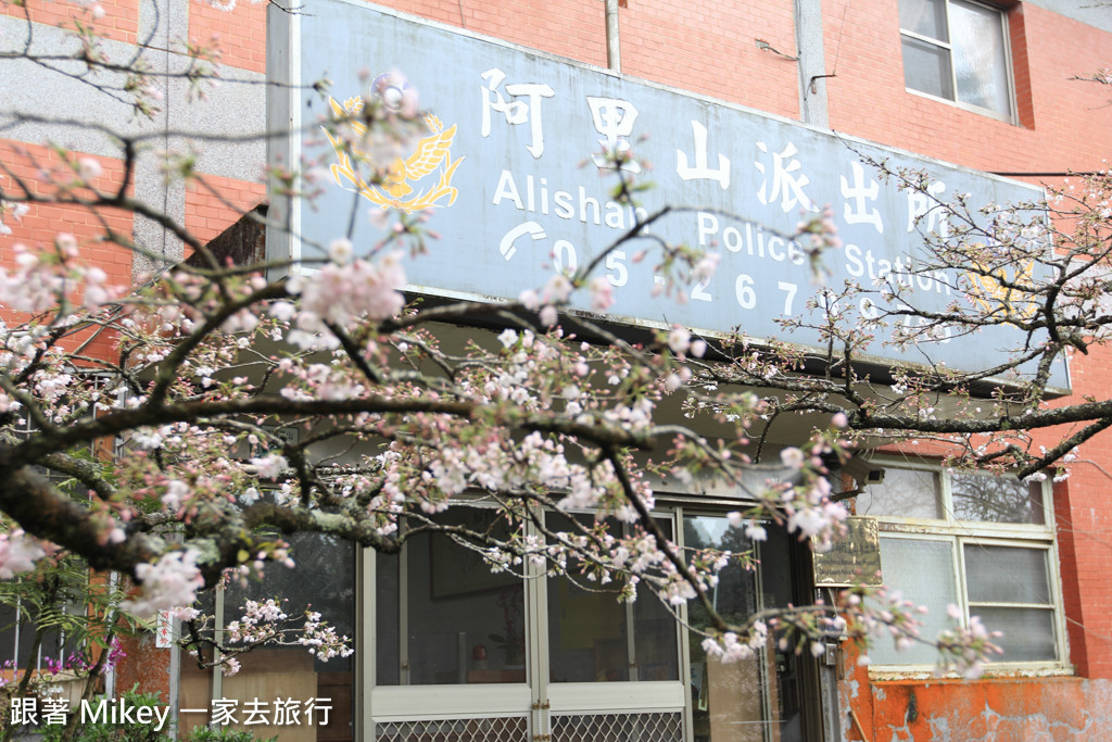 跟著 Mikey 一家去旅行 - 【 嘉義 】阿里山國家風景區 - 沼平車站