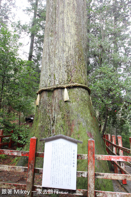 跟著 Mikey 一家去旅行 - 【 箱根 】箱根神社