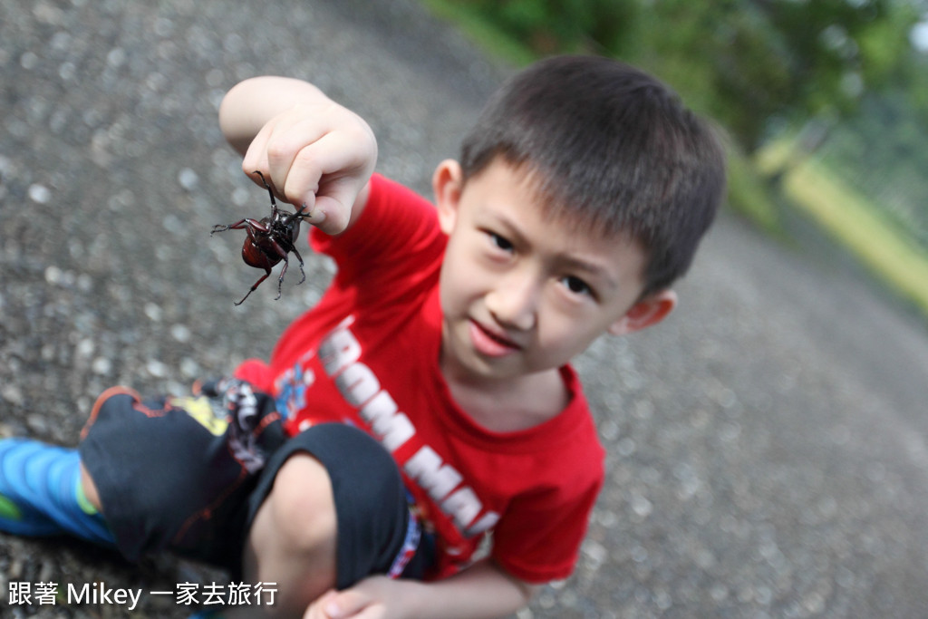 跟著 Mikey 一家去旅行 - 【 員山 】鳳凰宿甲蟲生態民宿 - 環境篇