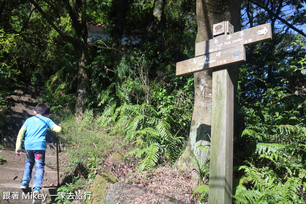 跟著 Mikey 一家去旅行 - 【 三峽 】鳶山