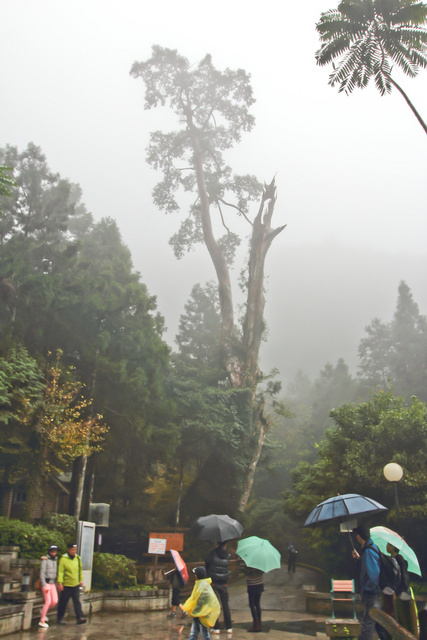 跟著 Mikey 一家去旅行 - 【 大同 】明池山莊 - Day 1