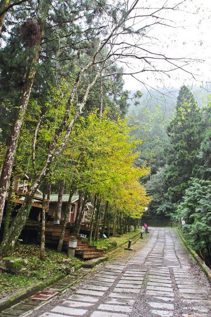 跟著 Mikey 一家去旅行 - 【 大同 】明池山莊 - Day 2