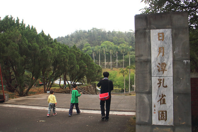 跟著 Mikey 一家去旅行 - 【 魚池 】日月潭孔雀園