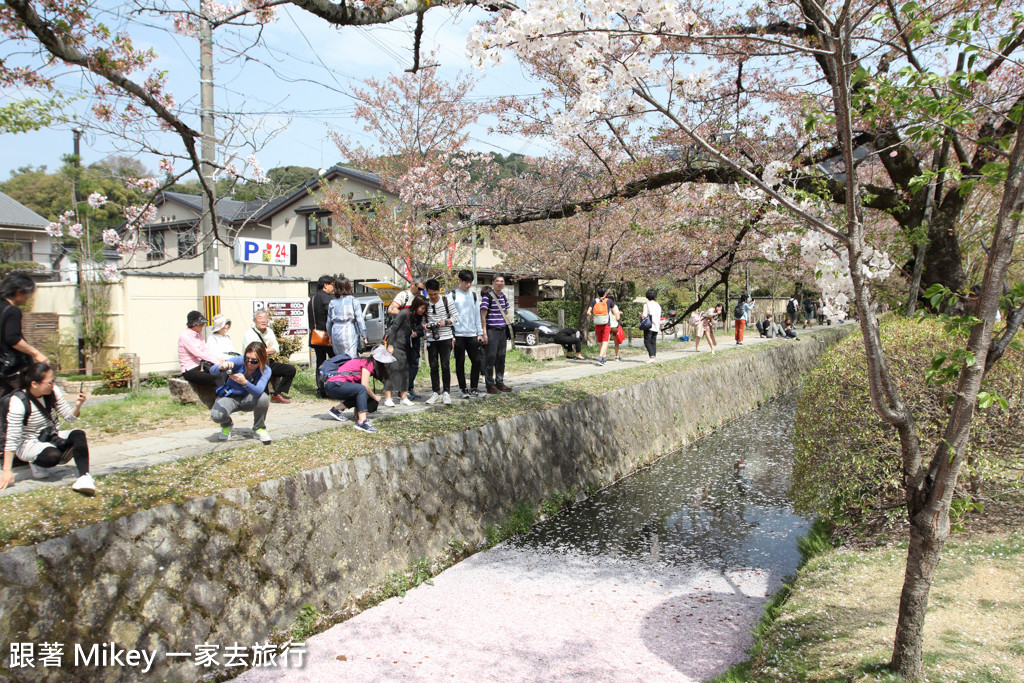 【 京都 】哲學之道