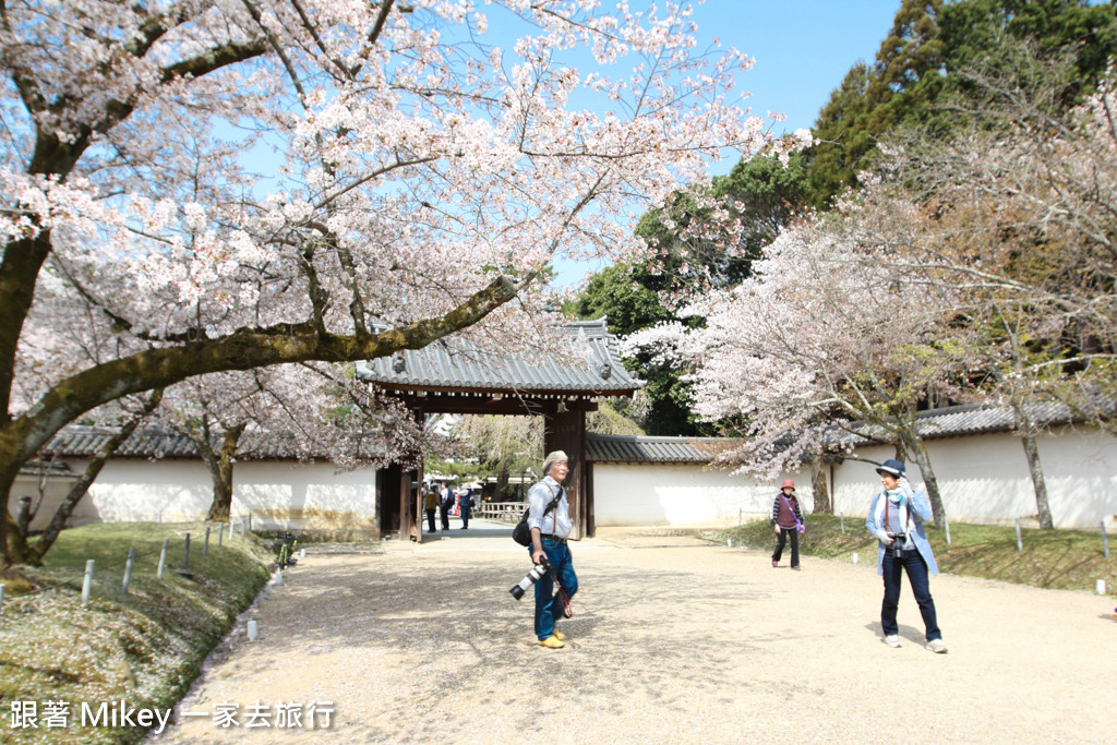 【 京都 】醍醐寺 - Part I