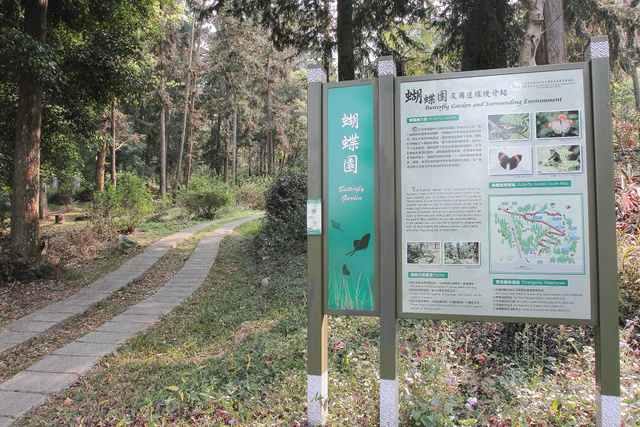 【 魚池 】日月潭蝴蝶園