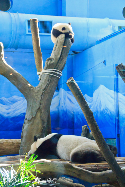 【 台北 】台北市立動物園