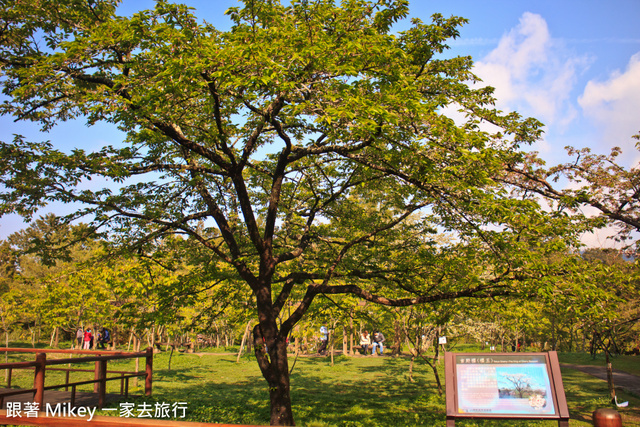 【 嘉義 】阿里山賓館 - 櫻王區篇