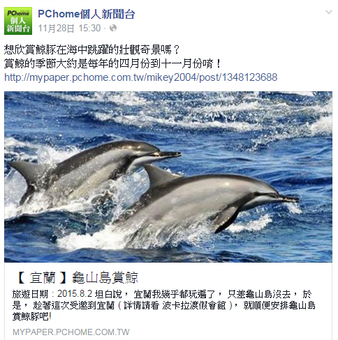 【 媒體露出 】 Facebook - PCHome 個人新聞台 - 想欣賞鯨豚在海中跳躍的壯觀奇景嗎？